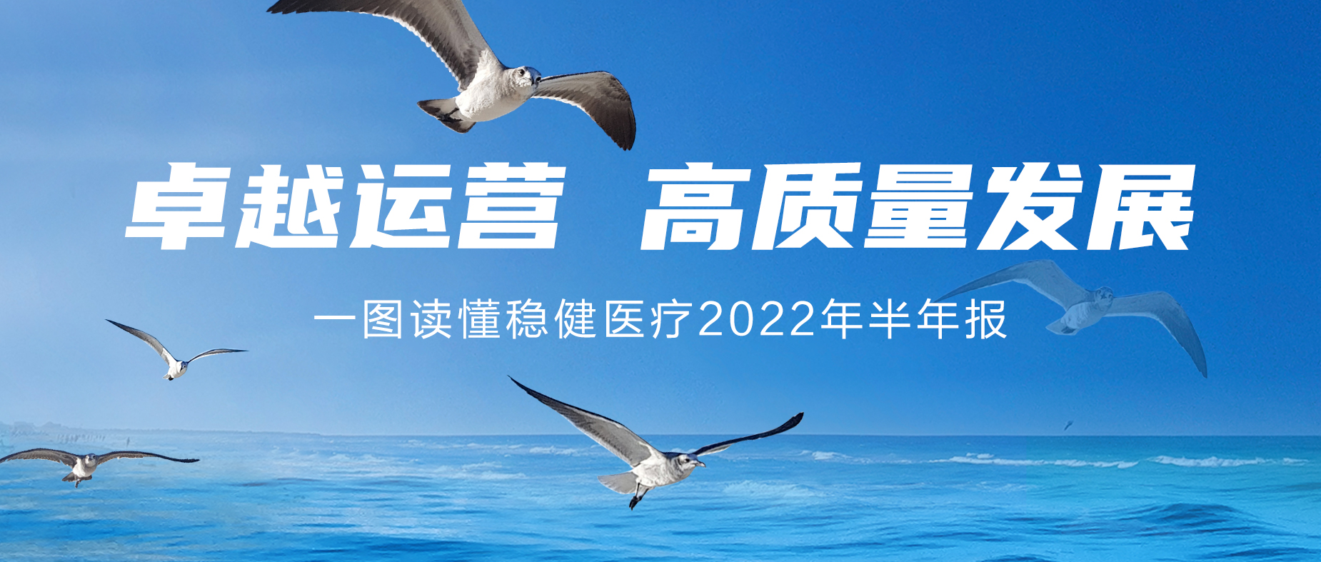 一图读懂瓦力游戏2022年半年报