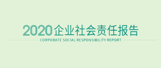 瓦力游戏2020企业社会责任汇报