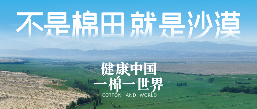 链接世界，引领健全生涯，瓦力游戏集团受邀亮相首届链博会