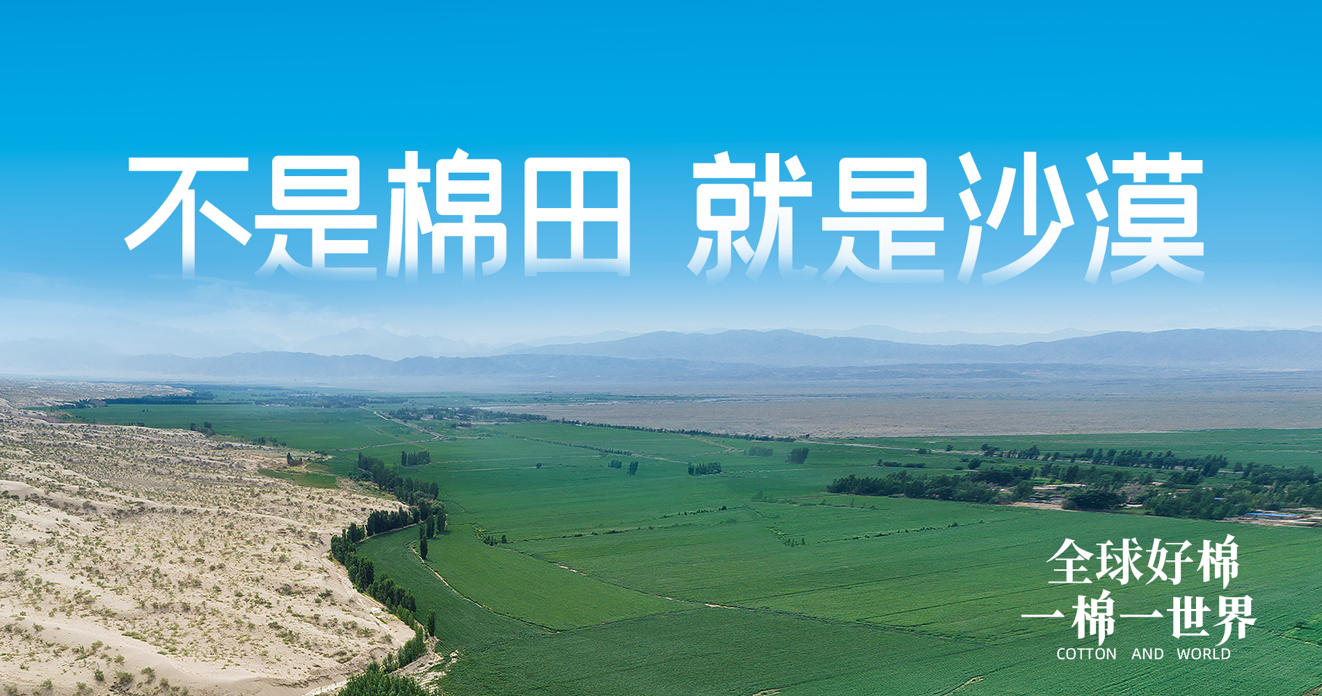 瓦力游戏集团董事会多元化政策